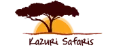 kazuri