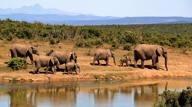 Kruger National Park