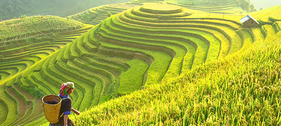 Cultuur Rondreis Vietnam