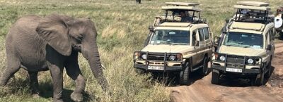 Tanzania safari Afrika