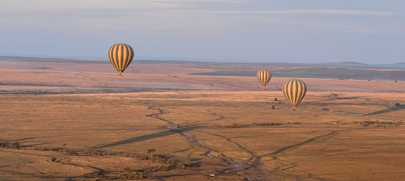 Masai Mara