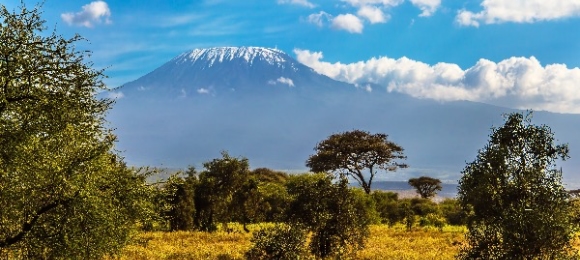 Amboseli Park en Kilimanjaro Kenia