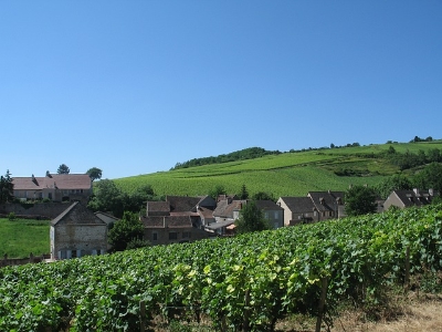 Bourgogne Fietsvakantie