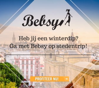 Bebsy Reizen banner