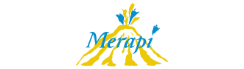 Merapi Tour logo