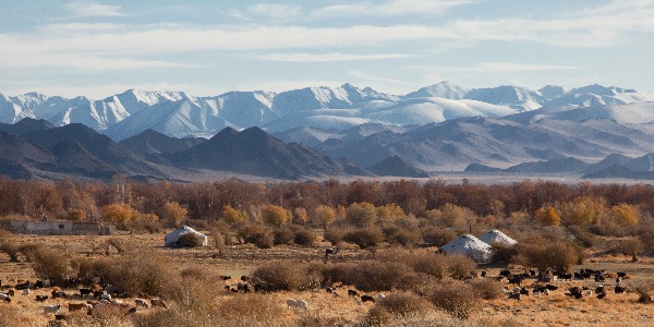 Mongolie yurts met bergen