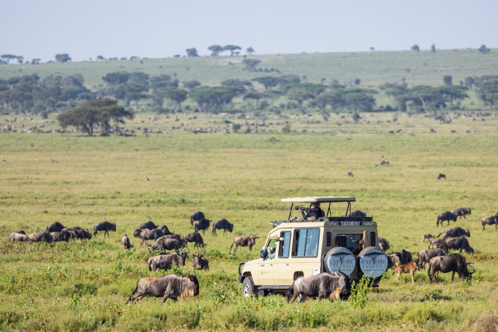 Safari Explore Tanzania