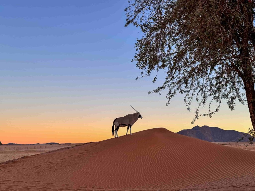 Sossusvlei Namibië uitzicht vanuit de lodge