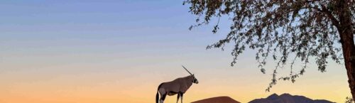 Sossusvlei namibie uitizcht vanuit de lodge