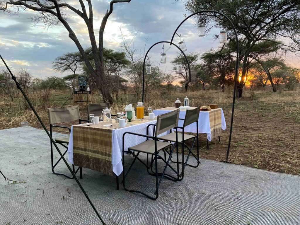 safari ontbijt