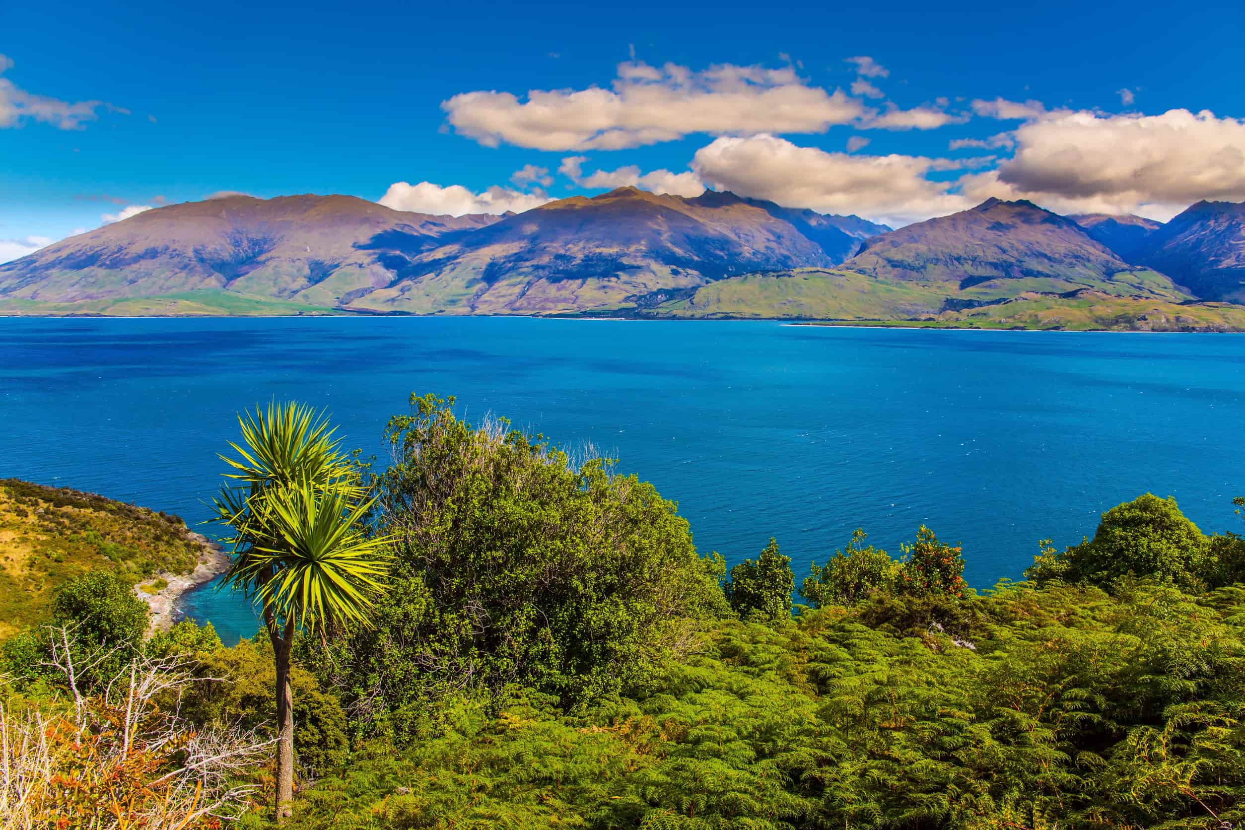 Wanaka meer Nieuw-Zeeland