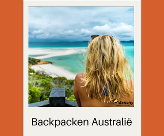 Activity International banner