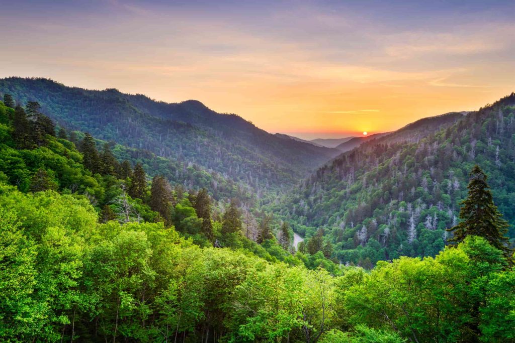 Great Smoky Mountains Tennessee Amerika