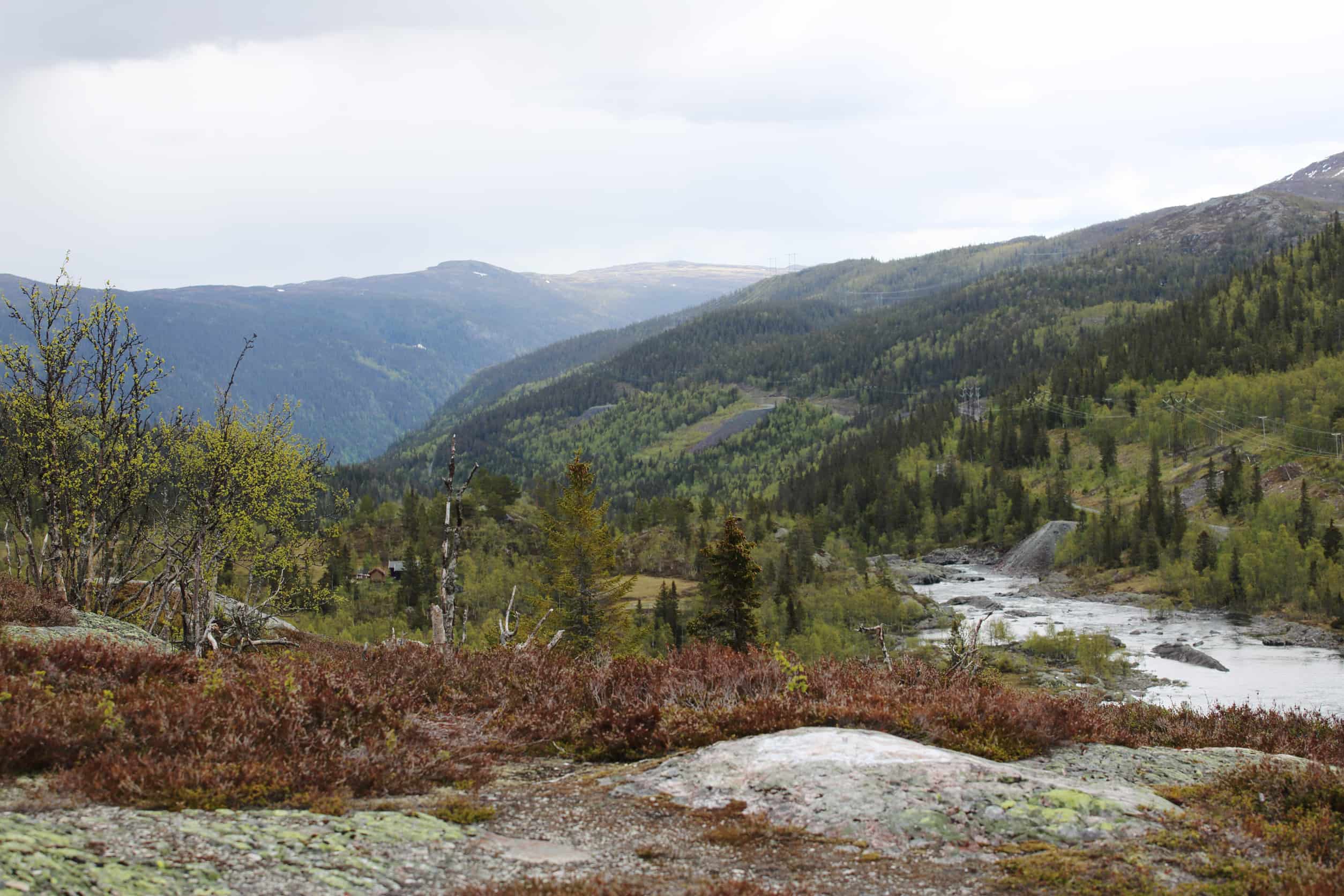 Hardangervidda Nationaal Park Noorwegen
