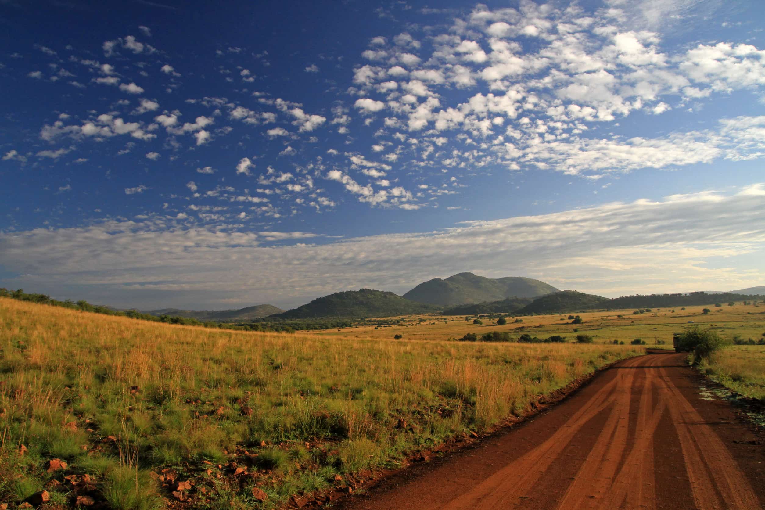 Nationaal Park Pilanesberg Zuid-Afrika