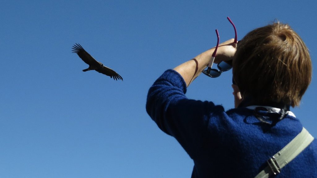 Cruz del Condor