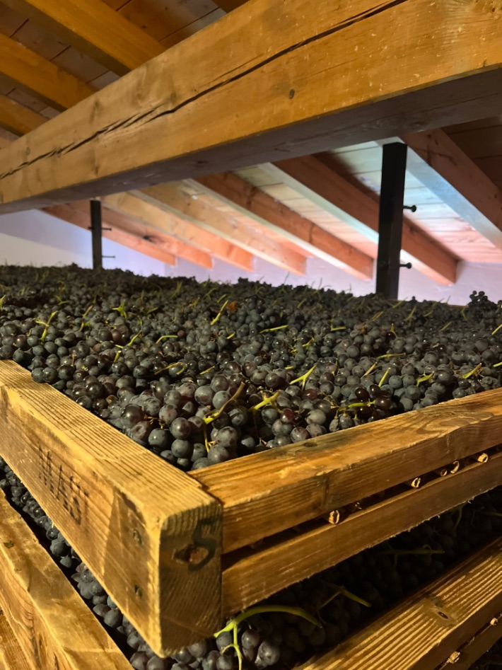  Druiven liggen te drogen voor de Amarone