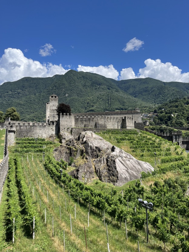 Zwitserland, een kasteel tussen de wijngaarden