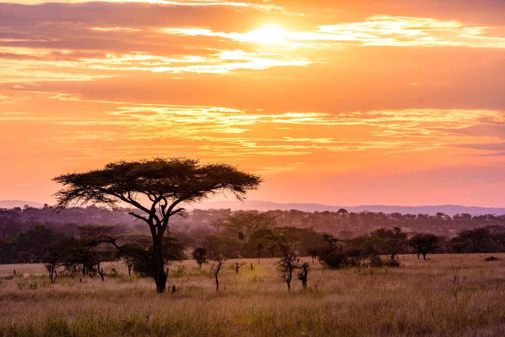 Zonsondergang Serengeti Tanzania