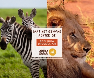 Afrika Safari banner