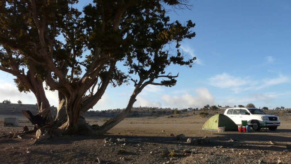 Aladin Travel Kamperen Oman