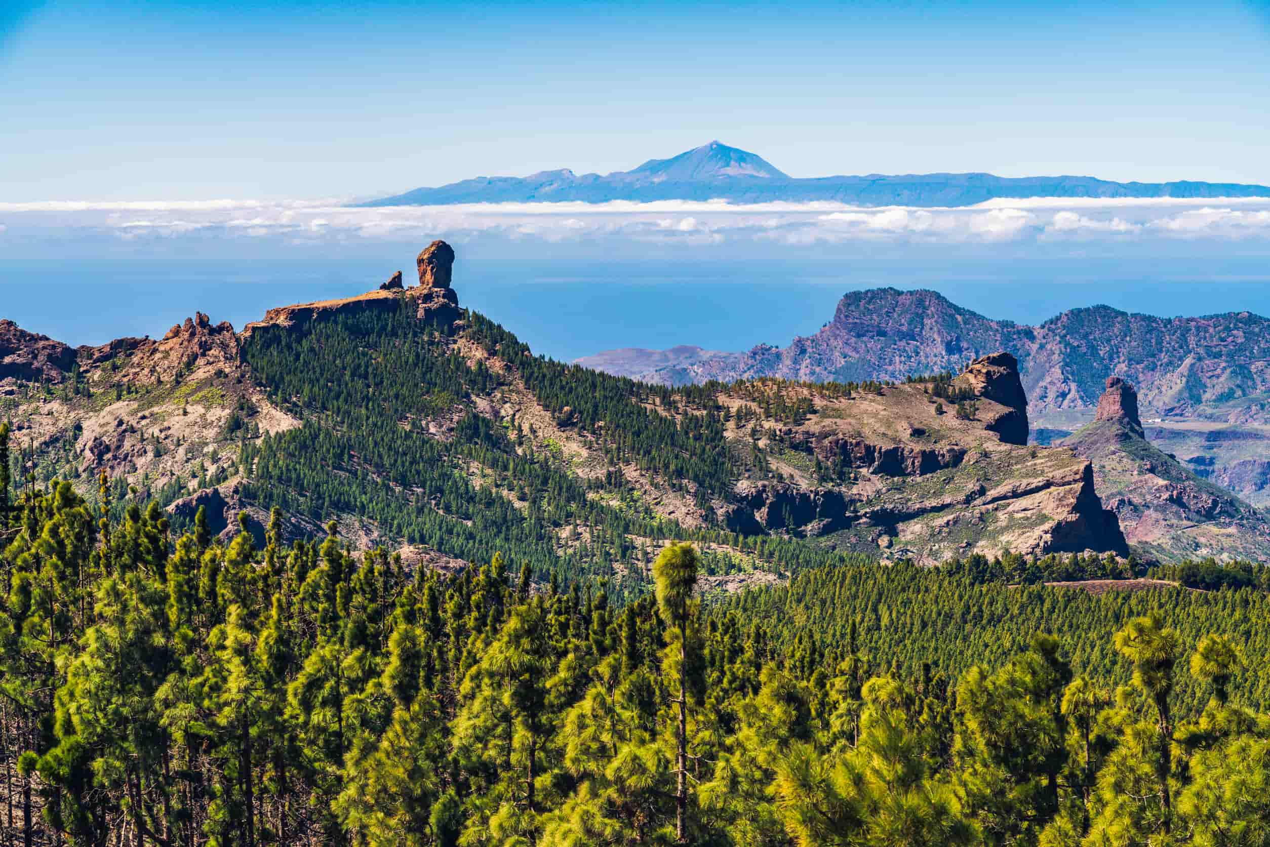 Tejeda Gran Canaria Spanje