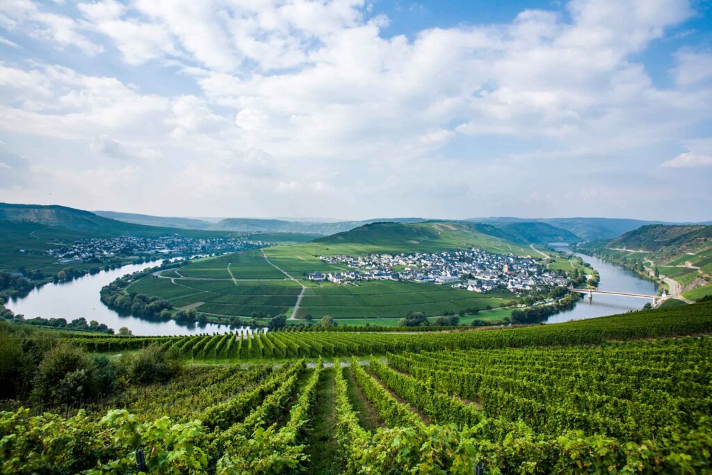 Trittenheim Wijngaarden Moezel Duitsland