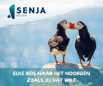 333travel Zuid-Afrika banner