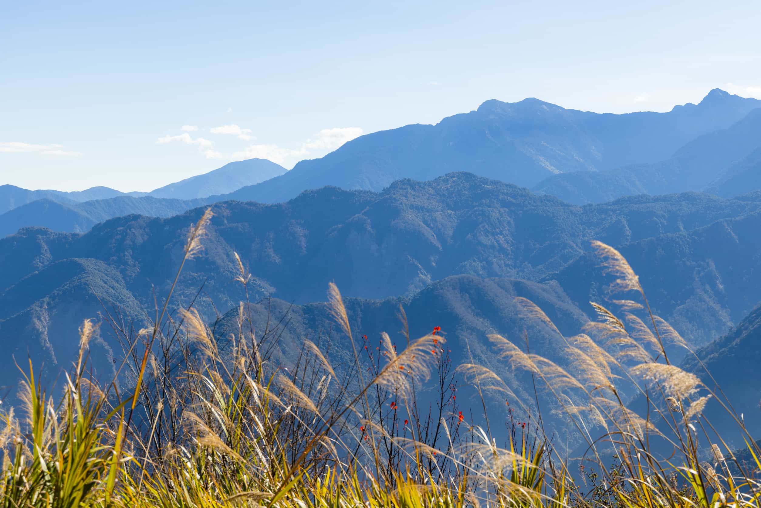 Alishan National Park Taiwan