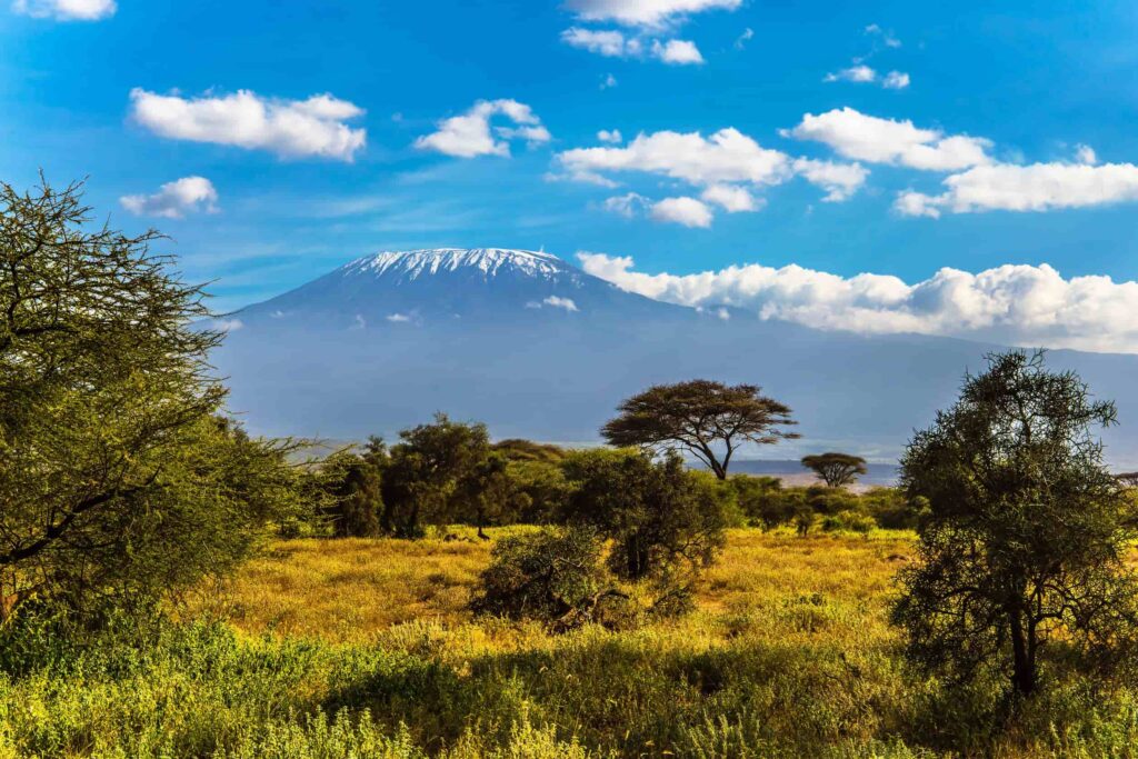 Amboseli National Park en Kilimanjaro Kenia