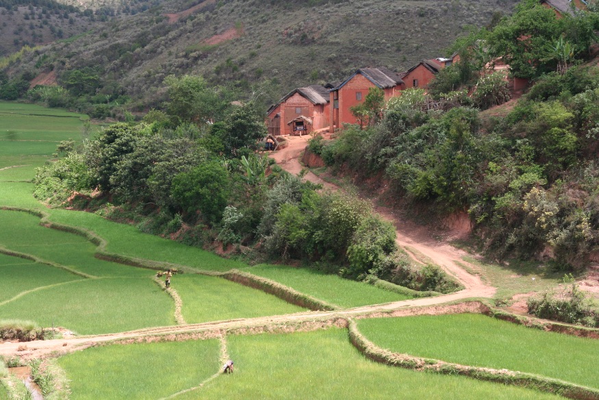 Hoogland Antsirabe Madagascar