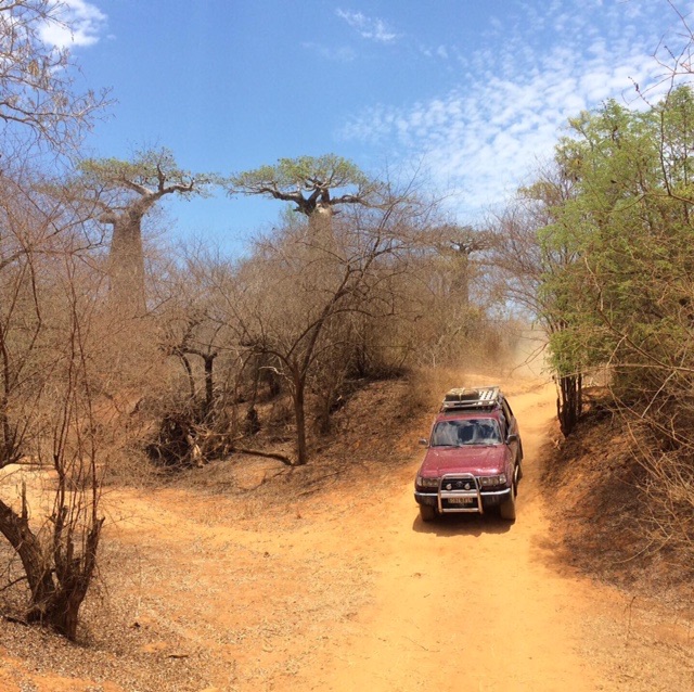 In de Brousse Westkust Madagaskar