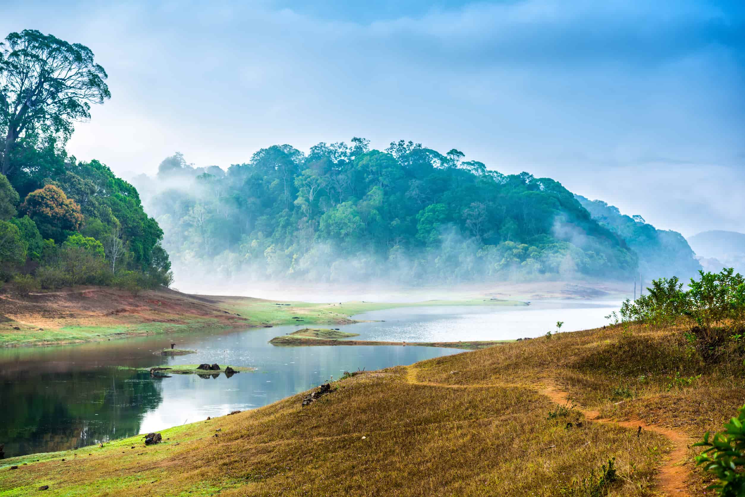 Periyar National Park India