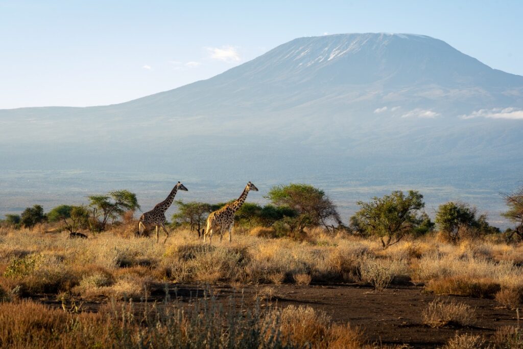 AfrikaSafari.nl Kenia Amboseli