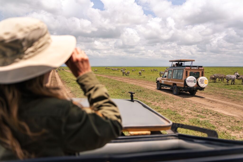 Kijken naar zebra's en een andere safari jeep