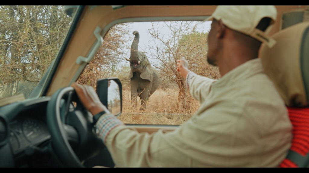 AfrikaSafari.nl Tanzania Specialist