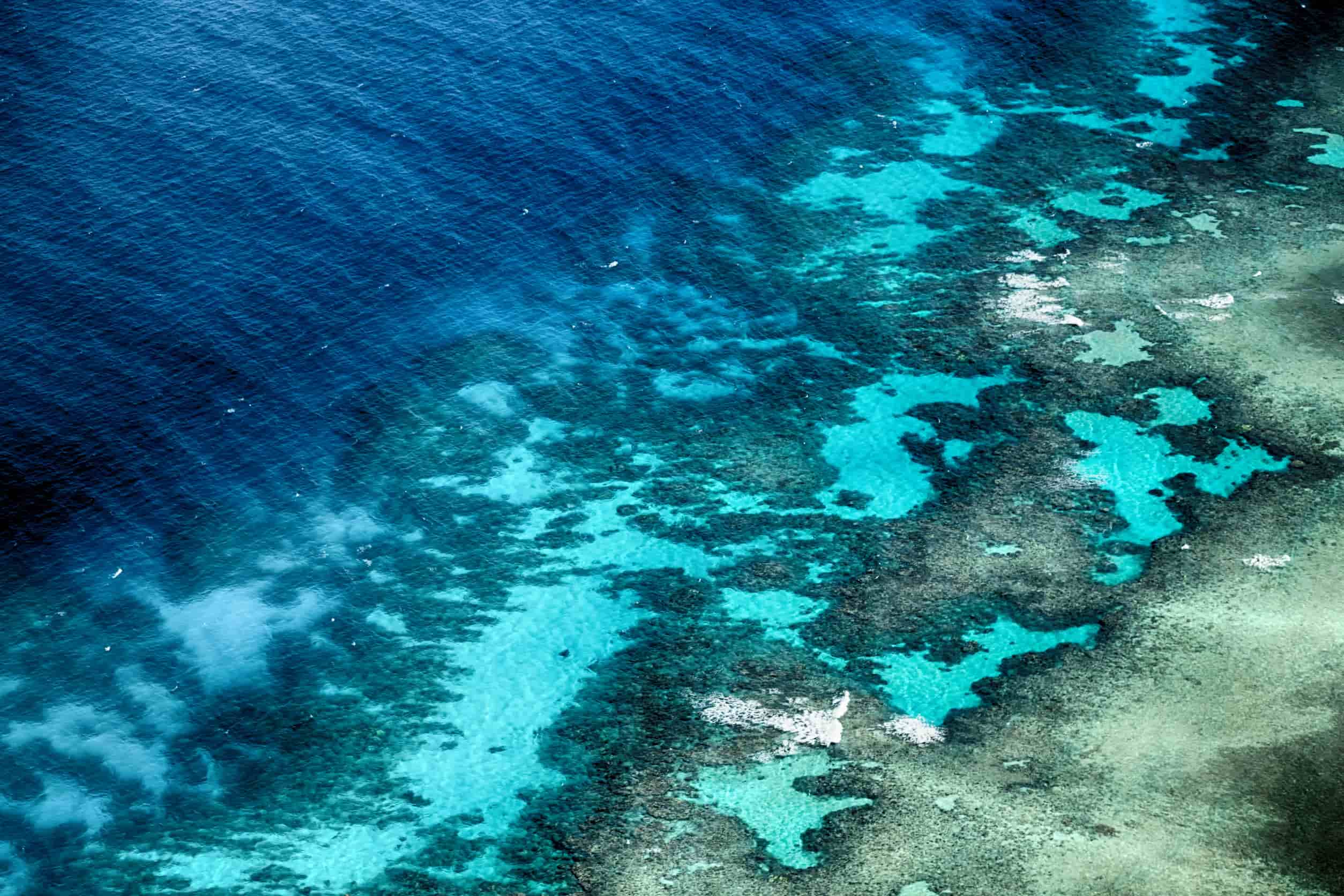 Great Barrier Reef Australië