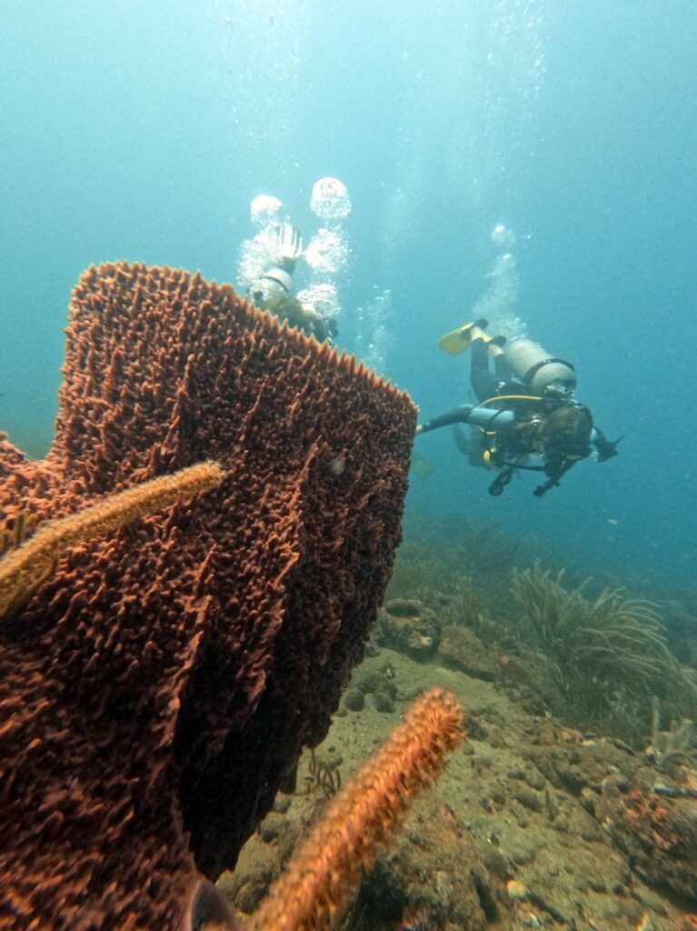 Duiken aan de Caraibische kust van Colombia