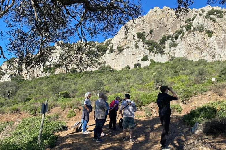 Birdwatchen met gids in Cádiz Spanje