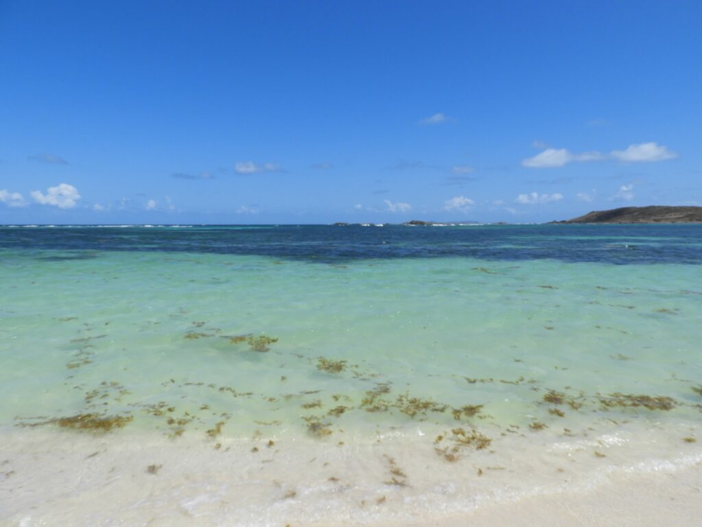 Coconut Grove Beach, Saint Martin FWI