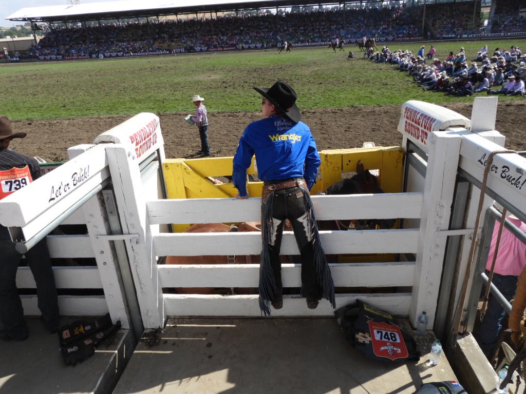 Le Beau Reizen Pendleton Round-Up Rodeao Cowboy