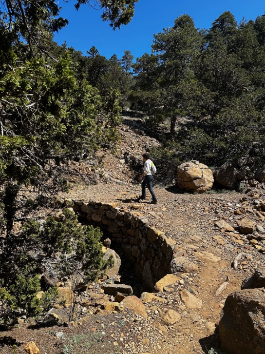 Oleander Travel Artemis Trail - Troodos Cyprus