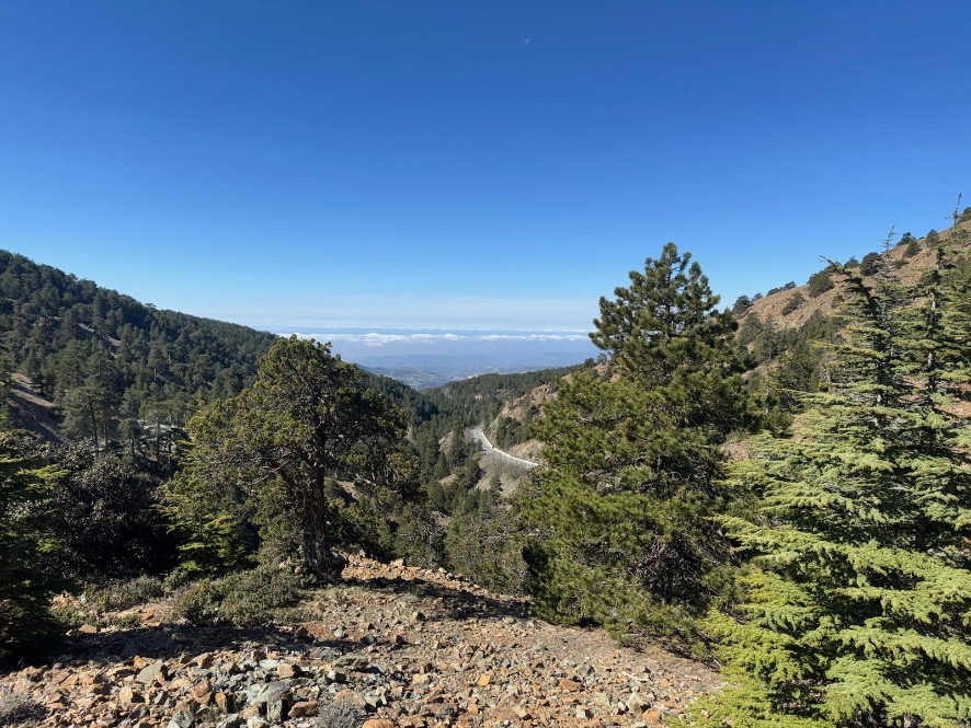 Troodos gebergte