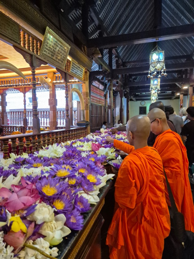 Monniken offeren bloemen Sri Lanka