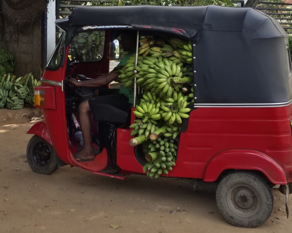Passiko Voyages TukTuk met bananen