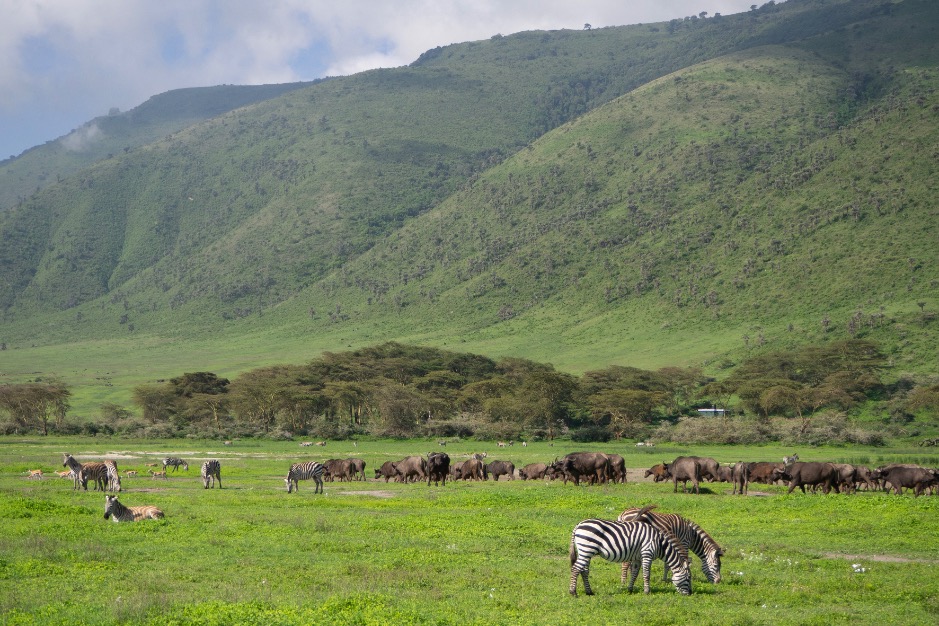 Ngogongoro Krater Tanzania