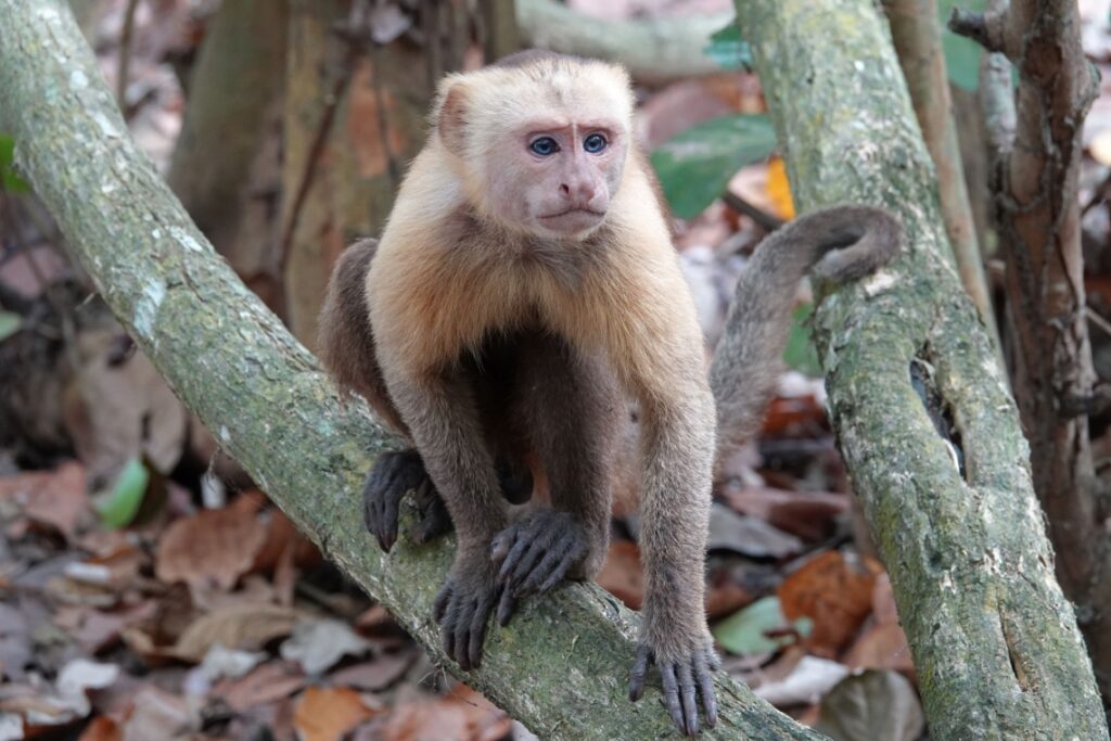 Tayrona National Park in Colombia