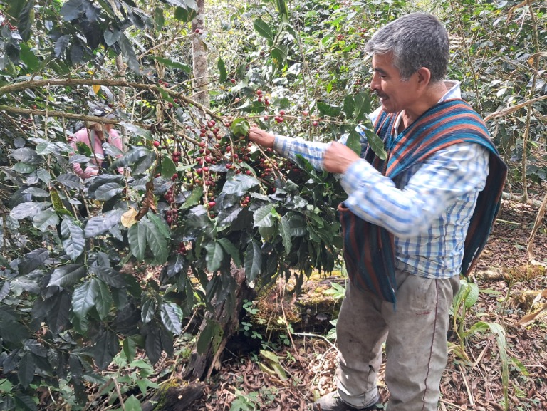 Koffie Rodrigo Menodoza