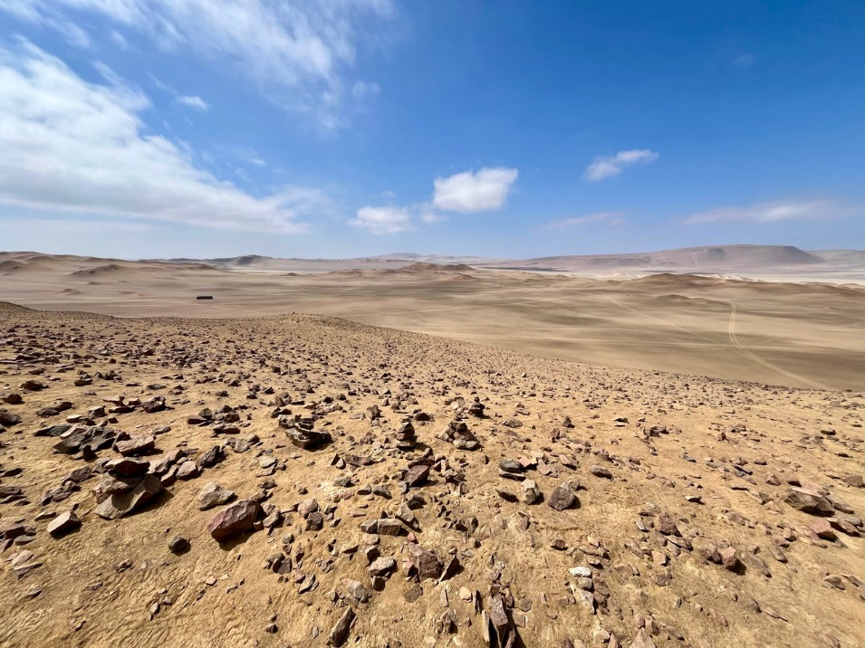 Nationaal Reservaat Paracas Peru