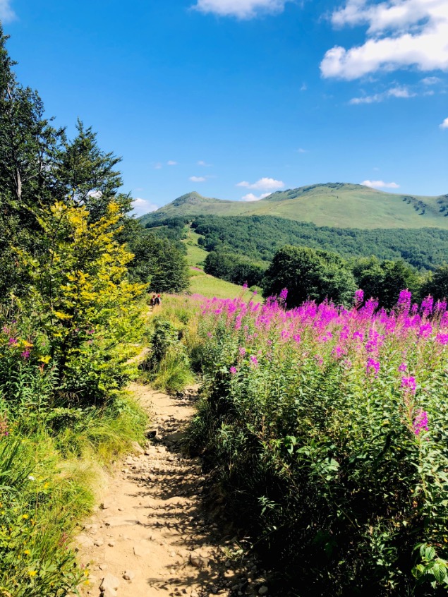 Bieszczady gebergte Polen
